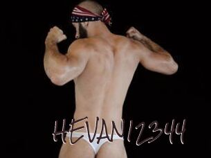 HEVAN12344
