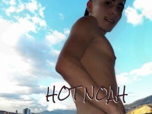 HOT_NOAH