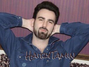 HairyTamin