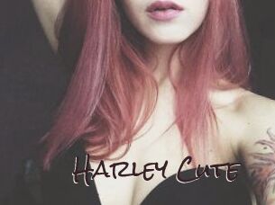 Harley_Cute