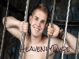 HeavenlyDude