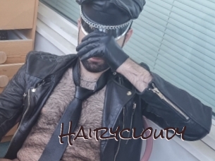 Hairycloudy