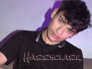 harryclark Spicy Blogs