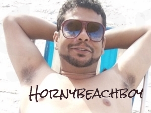 Hornybeachboy