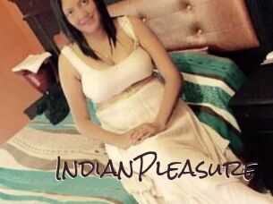 IndianPleasure Spicy Blogs
