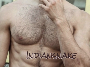 Indiansnake