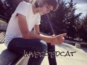Invertedcat