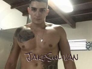 Jake_Sulivan