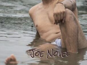 Joe_Novel