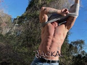 Jackal