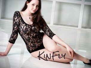 KinFly