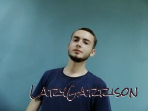 LaryGarrison Spicy Blogs