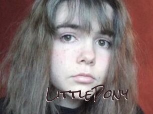 LittlePony Spicy Blogs