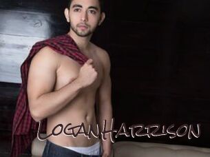 LoganHarrison Spicy Blogs