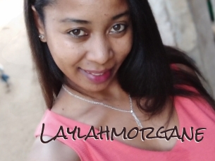 Laylahmorgane