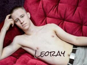 leoray Spicy Blogs