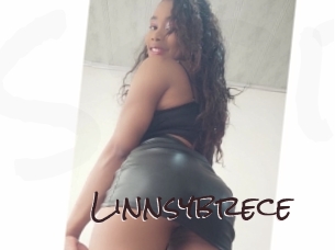 Linnsybrece