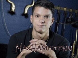 MaxHamintonn