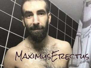 MaximusErectus