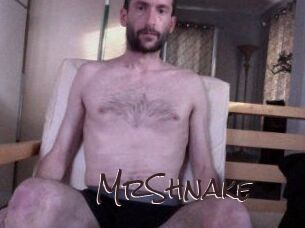 MrShnake