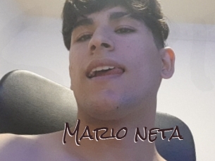 Mario_neta