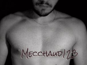 Mecchaud123