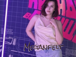 Meganfelt