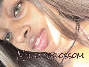 Mel_odyblossom