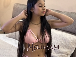 Meliicam