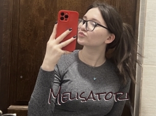 Melisatori