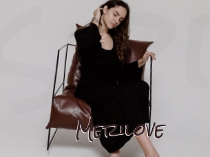 merilove Spicy Blogs