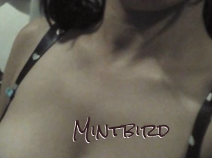 Mintbird