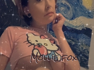 Mollie_fox