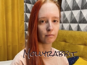 Mollyrabbit