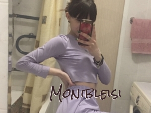 Monibleisi