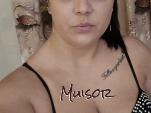 Muisor