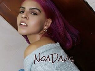 NoaDavis