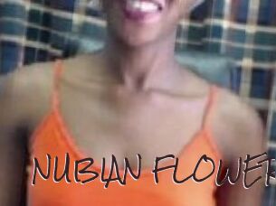 _NUBIAN_FLOWER_