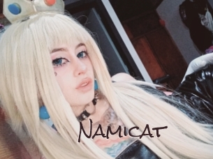 Namicat