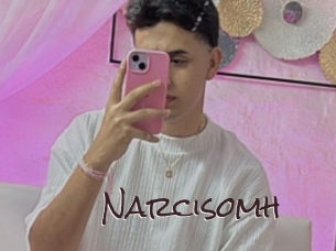 narcisomh Spicy Blogs