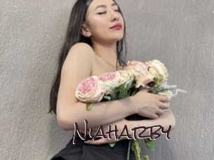 niaharby Spicy Blogs