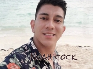 Noah_cock