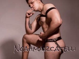 Noahmarcatelli