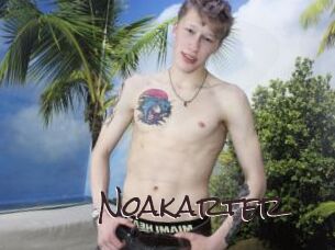 Noakarter