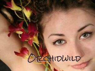 orchidwild Spicy Blogs