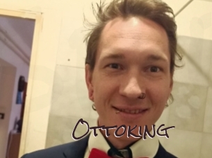 ottoking Spicy Blogs