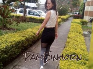 PamEinhorn