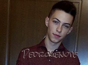 Pedrogenove