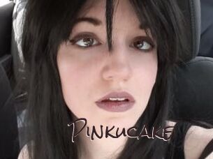 Pinkucake Spicy Blogs