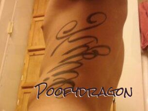 Poofydragon